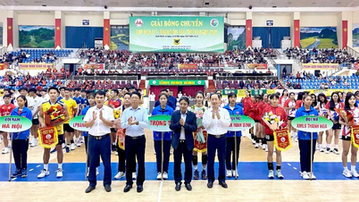 Comienza la Copa de Voleibol Hoa Lu-Binh Dien 2026.