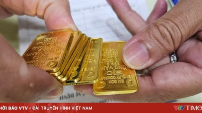 Ціни на золото впали майже на 5 мільйонів донгів за таель.