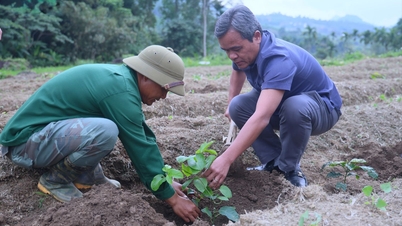 Son Tay Thuong commune needs to effectively exploit its potential and aim for sustainable poverty reduction.