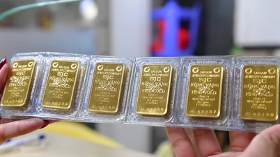 Le prix des lingots d'or a chuté de près de 5 millions de VND.