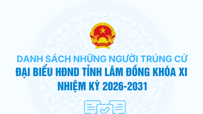 Lam Dong İl Halk Konseyi'ne seçilen 85 temsilcinin listesi, 11. dönem, 2026-2031