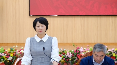 Lam Dong İl Parti Komitesi Başkan Yardımcısı Pham Thi Phuc, 9 numaralı bölge grubundaki yerel yönetimlerle birlikte çalışmaktadır.