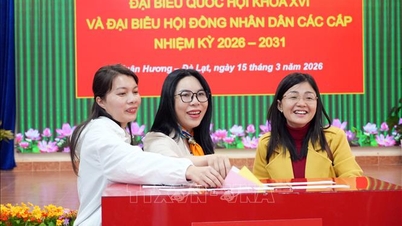 ラムドン省とタインホア省は、人民評議会代表選挙の結果を発表した。