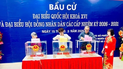 Những bước chân thầm lặng phía sau thành công của cuộc bầu cử