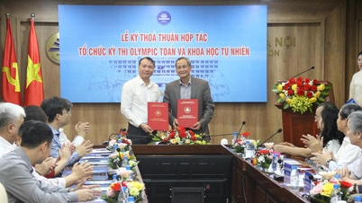 จัดการแข่งขันกีฬาโอลิมปิกคณิตศาสตร์และวิทยาศาสตร์ธรรมชาติสำหรับนักเรียนมัธยมปลาย