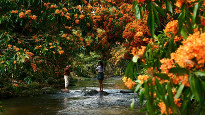 Uma oportunidade para vivenciar o 2º Festival de Observação das Flores do Riacho Ta Ma.