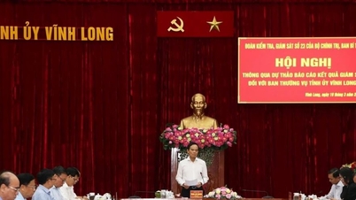 Inspection and supervision team No. 23 of the Politburo and the Secretariat worked with the Standing Committee of the Vinh Long Provincial Party Committee.