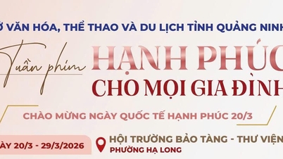 ខេត្តក្វាងនិញ ចាក់បញ្ចាំងភាពយន្តដោយឥតគិតថ្លៃ ដើម្បីអបអរសាទរទិវាសុភមង្គលអន្តរជាតិ។