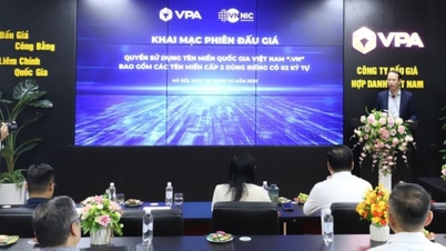 Двосимвольне національне доменне ім'я «.vn» викликає сенсацію, його кінцева ціна становить 217 мільйонів донгів.