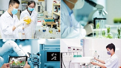 Ha Tinh tartomány útmutatást nyújt az innovációk felismeréséhez és a tudományos kutatási projektek hatékonyságának értékeléséhez.