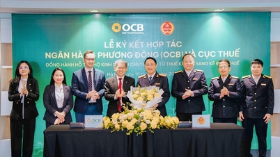 OCB bekerja sama dengan Departemen Pajak untuk mendukung rumah tangga bisnis dalam beralih dari pajak sekaligus ke deklarasi pajak.