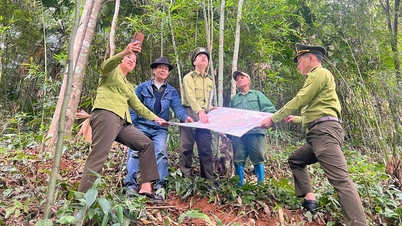 希望の色を増幅させよう