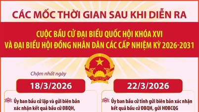 【インフォグラフィック】第16期国民議会議員および各レベルの人民評議会代表の選挙後の主要な日程。