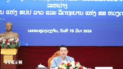 Promoting Laos-Vietnam cooperation to become deeper, more substantive, and more effective.