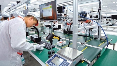 El capital extranjero está fluyendo con fuerza hacia la industria de procesamiento y manufactura.