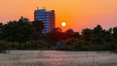 Üniversite köyündeki pitoresk çayırlar, gün batımını izlemek ve fotoğraf çekmek için gelen ziyaretçileri kendine çekiyor.