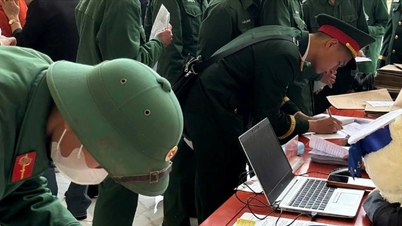 Centro de Serviços de Emprego de Hai Phong: Reafirmando seu papel como ponte no fornecimento de aconselhamento e orientação profissional para soldados desmobilizados.