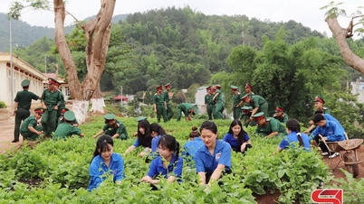 ຊາວໜຸ່ມເຊີນລານຳໜ້າໃນການປົກປັກຮັກສາສິ່ງແວດລ້ອມ.