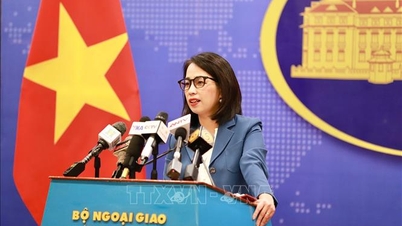 Vietnam bevestigt zijn consistente beleid van respect voor en waarborging van het recht op vrijheid van geloof en religie.