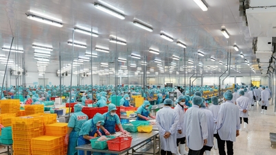 Lãnh đạo tỉnh Thanh Hóa đến thăm và làm việc tại Sao Mai Group