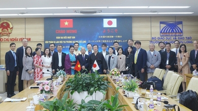 Cuu Long University stärker samarbetet med partners i Japan.