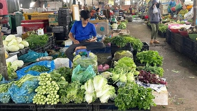 ホーチミン市の卸売市場は、価格変動の中でも安定した価格を維持している。