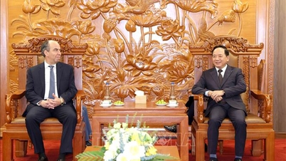 Vietnam ve Küba halklarının pratik yararı için işbirliği.