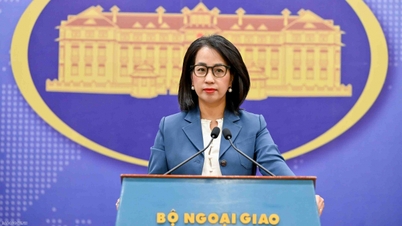 Postoj Vietnamu k americkému vyšetřování nadměrné výrobní kapacity.