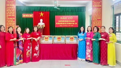 25 kvinnliga kandidater valdes till representanter till Quang Ninh-provinsens folkråd för mandatperioden 2026–2031.