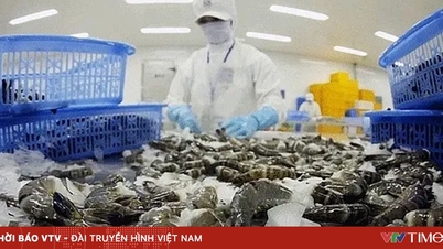 米国へのエビ輸出量が急激に減少した。