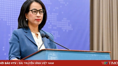 Redo att ge stöd och säkerställa säkerheten för vietnamesiska medborgare och fartyg i Mellanösternregionen.