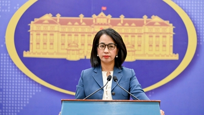 Dışişleri Bakanlığı, Orta Doğu'daki Vietnam vatandaşlarının durumuyla ilgili soruları yanıtlıyor.
