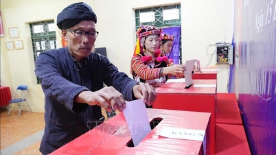 De verkiezingsuitslagen in Dien Bien en Lai Chau zijn bekendgemaakt.