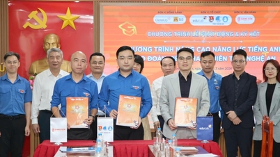 Nghệ An phát động cuộc thi 'Vũ đài trí tuệ - Nghe An’s High School Battle' năm 2026