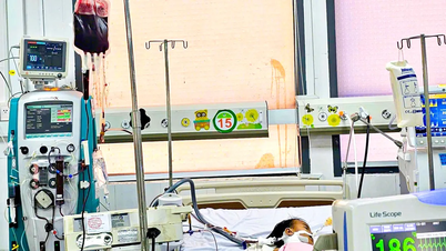 Salvando a vida de uma menina de 20 meses com doença mão-pé-boca em estágio 4 crítico.