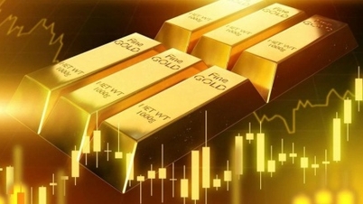 Gold plummets as the Fed keeps interest rates unchanged.