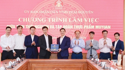 ក្រុមហ៊ុន Muyuan Foods Group កំពុងស្រាវជ្រាវ និងអភិវឌ្ឍគម្រោងចិញ្ចឹមសត្វបច្ចេកវិទ្យាខ្ពស់មួយនៅ Thai Nguyen។