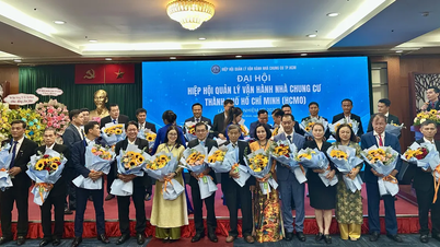Kota Ho Chi Minh secara resmi memiliki Asosiasi Pengelolaan dan Operasi Gedung Apartemen.