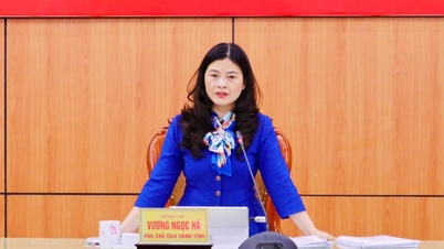 Le camarade Vuong Ngoc Ha, vice-président du Comité populaire provincial, a travaillé avec 7 communes du groupe VII.