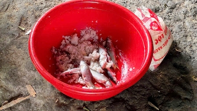 Botulinum risk from fermented fish in Da Nang: Authorities tighten control.