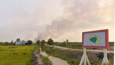 Un incendiu a izbucnit în Zona de Conservare a Speciilor și Habitatului Phu My.