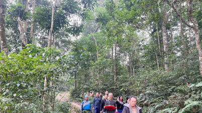 Les magnifiques rituels de culte forestier du peuple Mong de Tong Kim