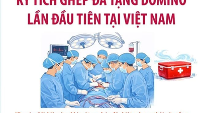 Vietnam achieves its first-ever domino-style multi-organ transplant miracle.