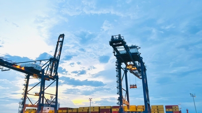 Promouvoir la numérisation et développer des modèles de ports verts.
