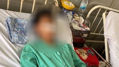 Un estudiante varón de 11º grado en Ciudad Ho Chi Minh fue golpeado por un grupo de personas, lo que le provocó una fractura de nariz.