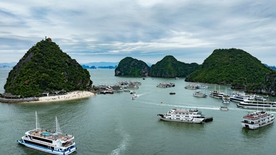 Le Vietnam figure parmi les plus beaux pays du monde.