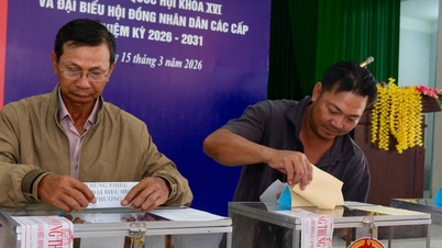 Tay Ninh gibt die Wahl von 81 Personen zu Vertretern des 11. Provinzvolksrats bekannt.