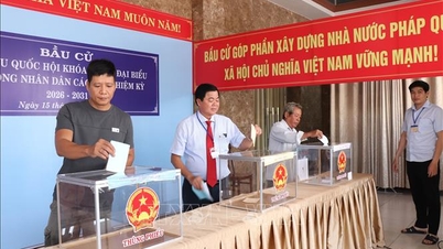 Tay Ninh annonce la liste des 81 personnes élues comme représentants au Conseil populaire provincial pour le mandat 2026-2031.