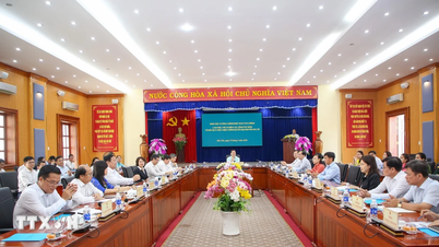 Vice premiärminister Mai Van Chinh: Tay Ninh fortsätter att se över och organisera personal på lämpligt sätt.