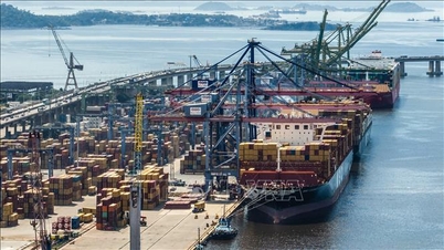 WTO: A konfliktusok nyomást gyakorolnak a globális kereskedelmi kilátásokra.